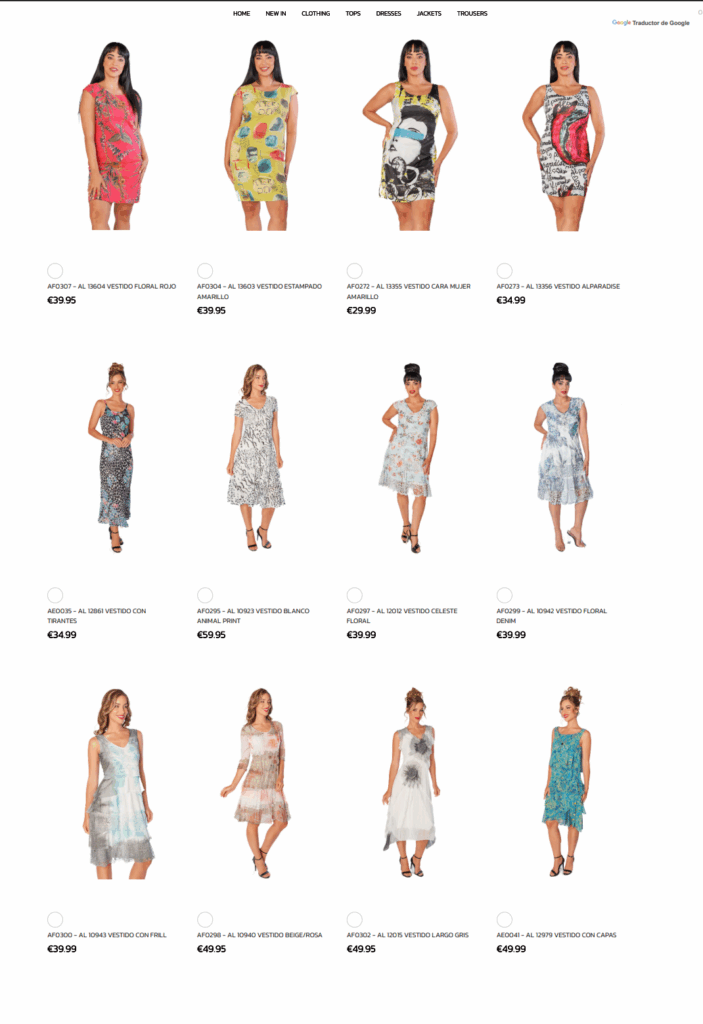 Web con e-commerce 2